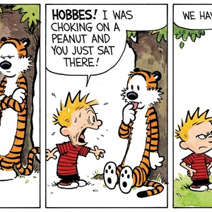 Garfield to Calvin & Hobbes